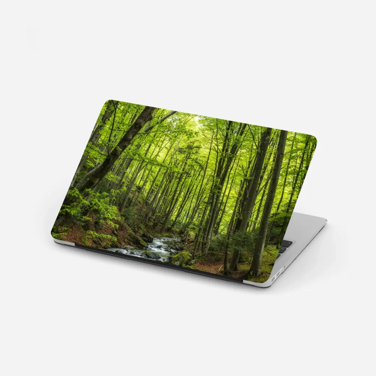 Laptop-Aufkleber ruhiger grüner waldbach – Pixers®