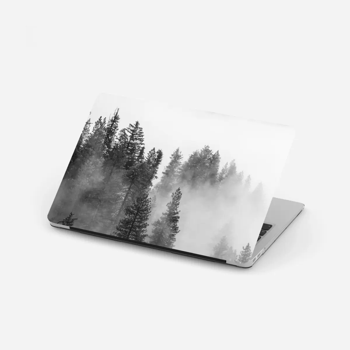 Laptop-Aufkleber nebliger Giant Forest, Sequoia National Park – Pixers®