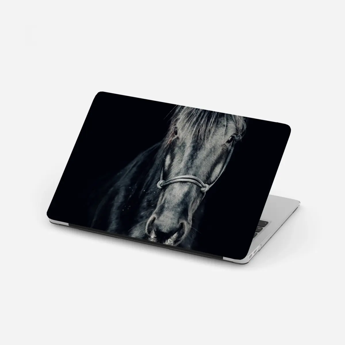Laptop-Aufkleber majestätisches schwarzes pferdeporträt – Pixers®