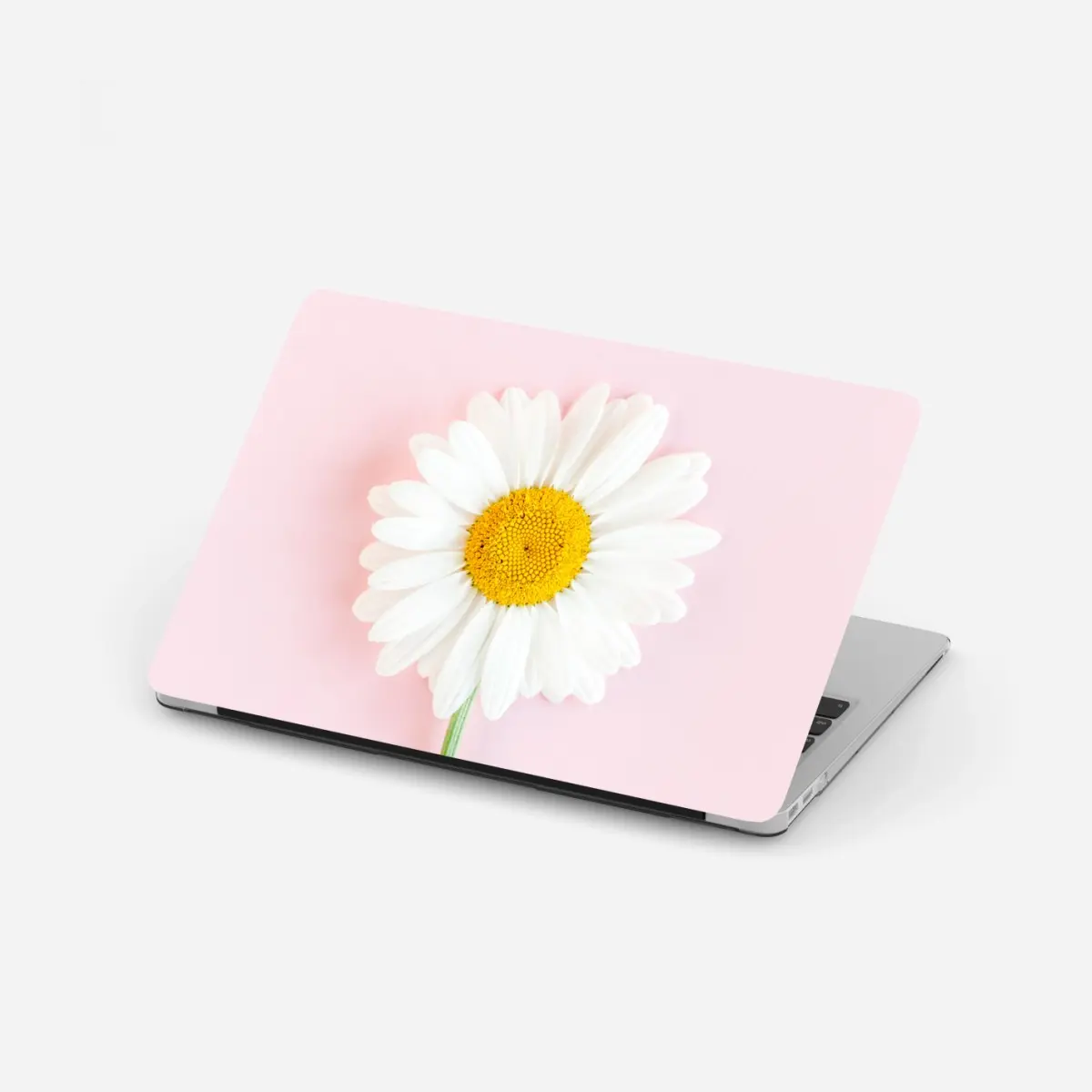 Laptop-Aufkleber weißes gänseblümchen auf pastellrosa hintergrund – Pixers®
