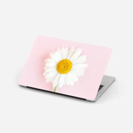 Laptop-Aufkleber weißes gänseblümchen auf pastellrosa hintergrund – Pixers®