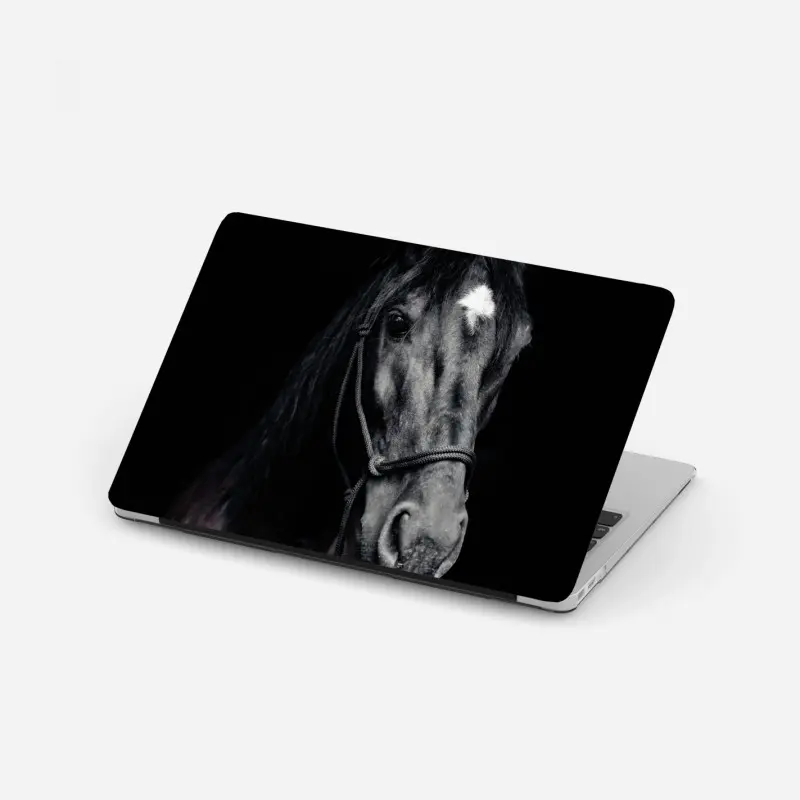 Laptop-Aufkleber majestätisches pferdeporträt