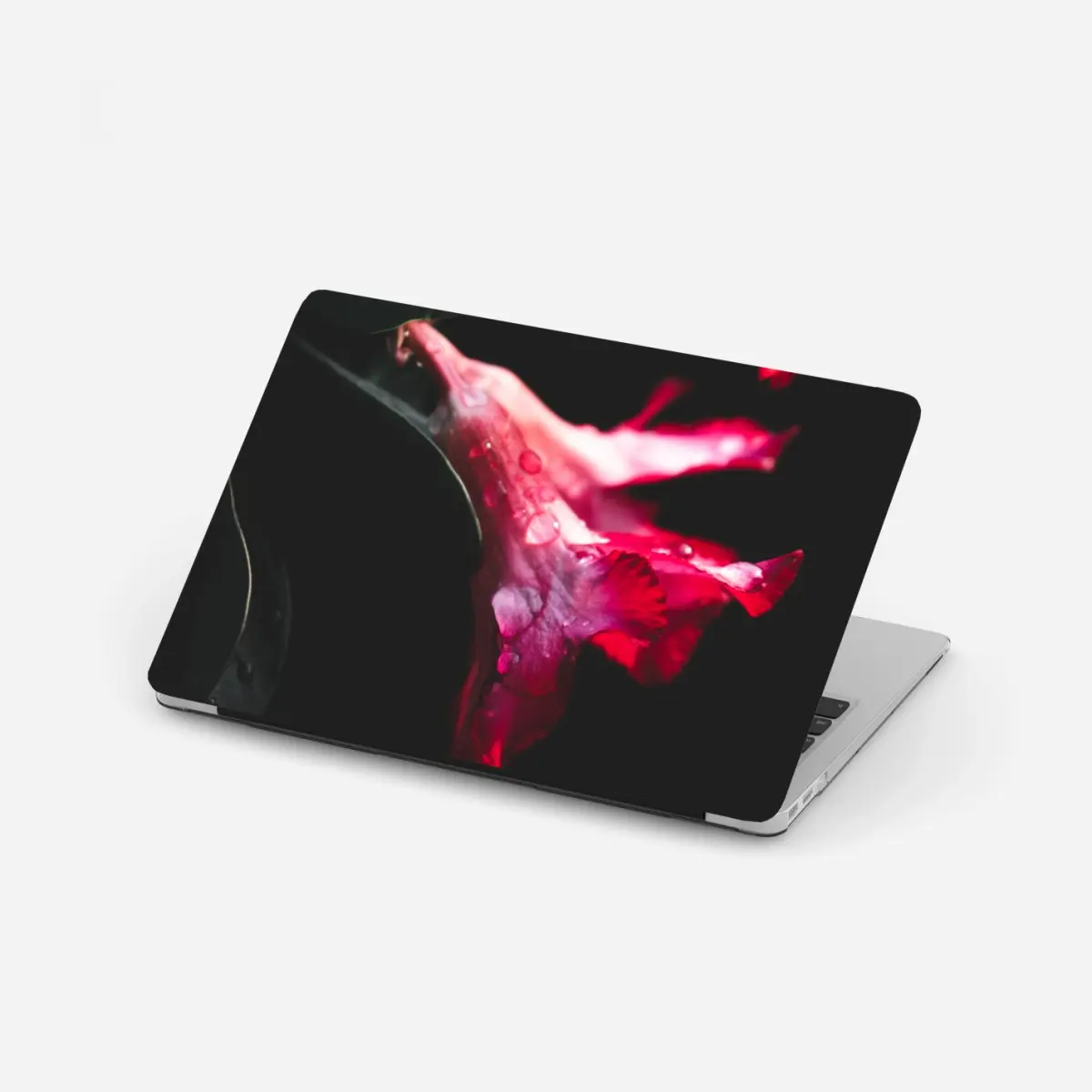 Laptop-Aufkleber rosa trompetenblume mit tau – Pixers®