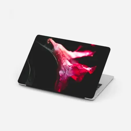Laptop-Aufkleber rosa trompetenblume mit tau – Pixers®