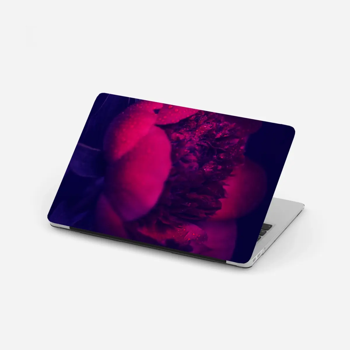Laptop-Aufkleber stimmungsvolle rosa pfingstrose nahaufnahme – Pixers®