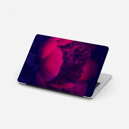 Laptop-Aufkleber stimmungsvolle rosa pfingstrose nahaufnahme – Pixers®