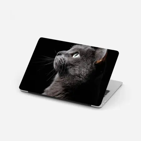 Laptop-Aufkleber elegantes porträt einer grauen katze – Pixers®