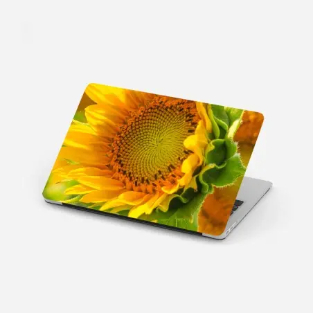 Laptop-Aufkleber sonnenblume nahaufnahme – Pixers®