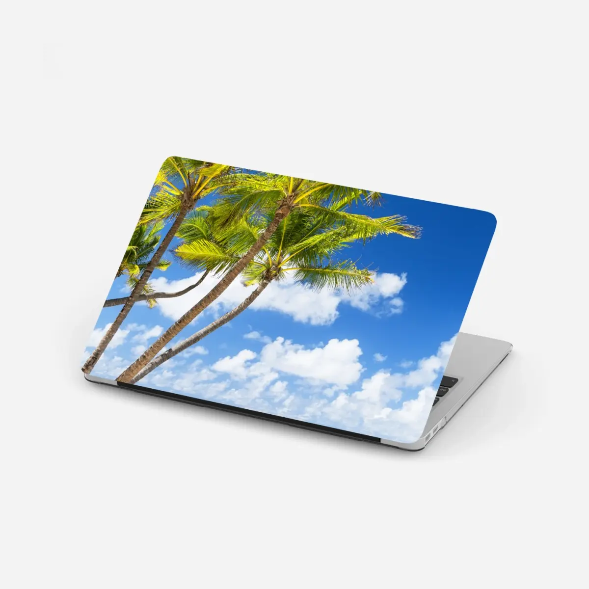 Laptop-Aufkleber tropischer palmstrand in Punta Cana – Pixers®