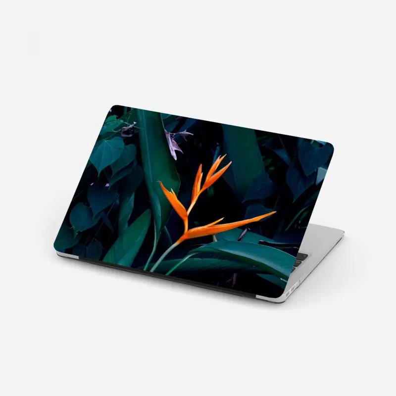 Laptop-Aufkleber leuchtende strelitzie vor tiefgrünen blättern
