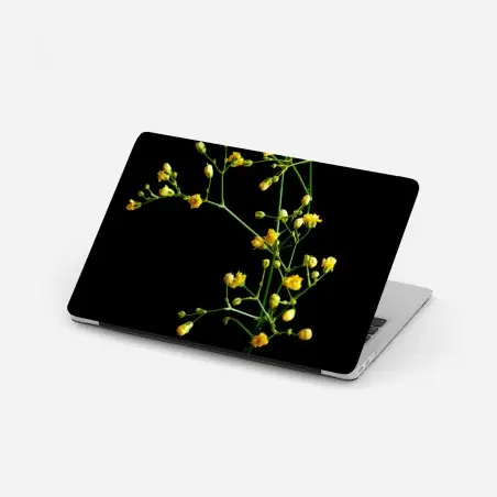 Laptop-Aufkleber zartes gelbes schleierkraut auf schwarzem hintergrund – Pixers®