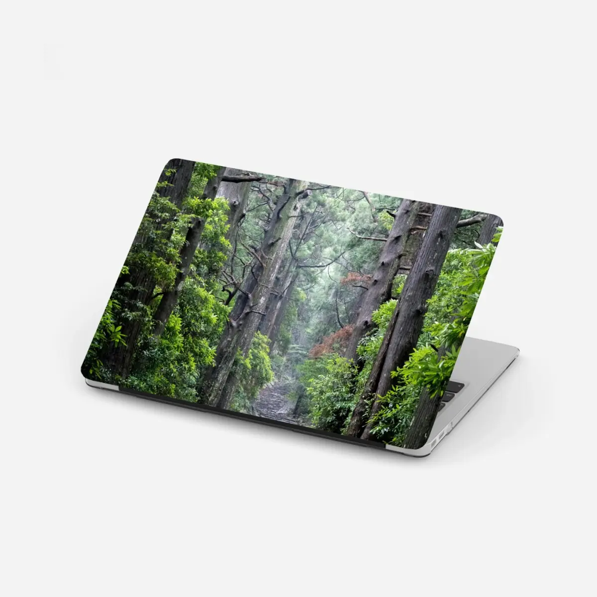 Laptop-Aufkleber mystischer waldweg zwischen alten bäumen – Pixers®