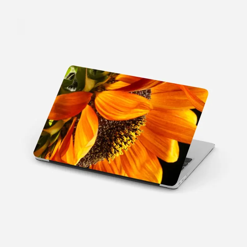 Laptop-Aufkleber leuchtende orange sonnenblume nahaufnahme