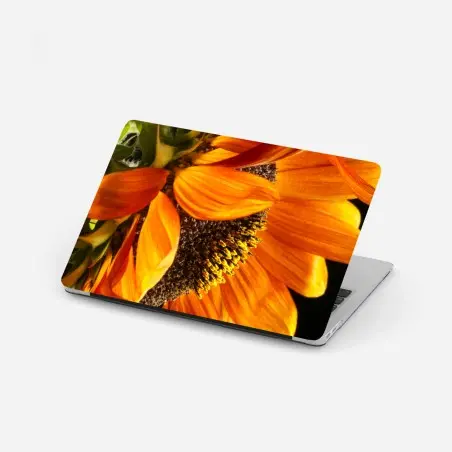 Laptop-Aufkleber leuchtende orange sonnenblume nahaufnahme – Pixers®