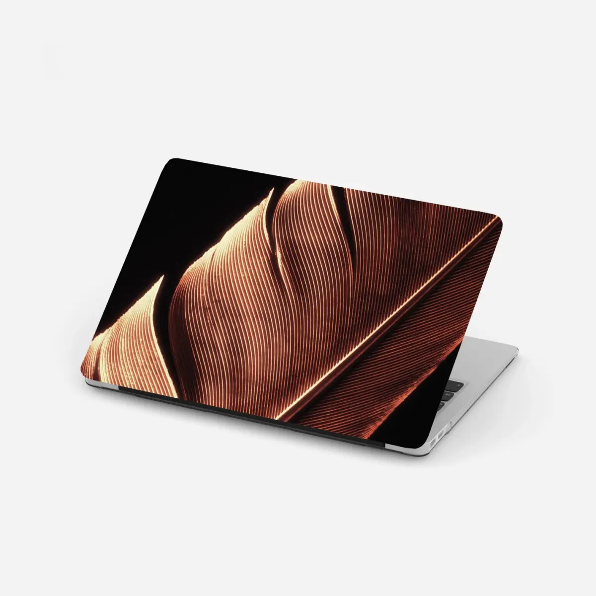 Laptop-Aufkleber goldene feder makro vor schwarzem hintergrund – Pixers®