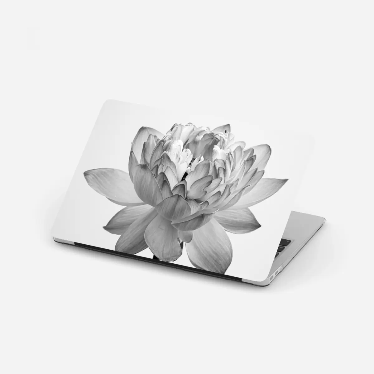Laptop-Aufkleber ruhevoller lotus in graustufen – Pixers®