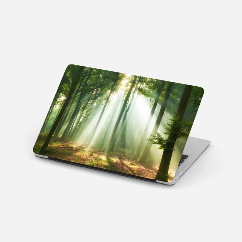 Laptop-Aufkleber morgendliches licht im wald