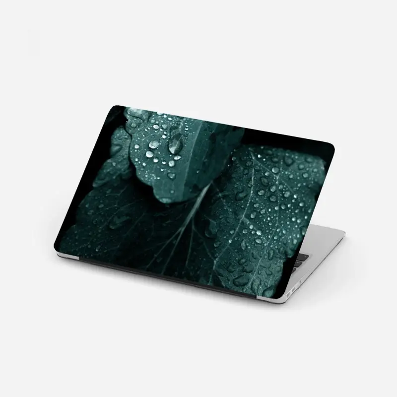 Laptop-Aufkleber tautropfen auf blättern