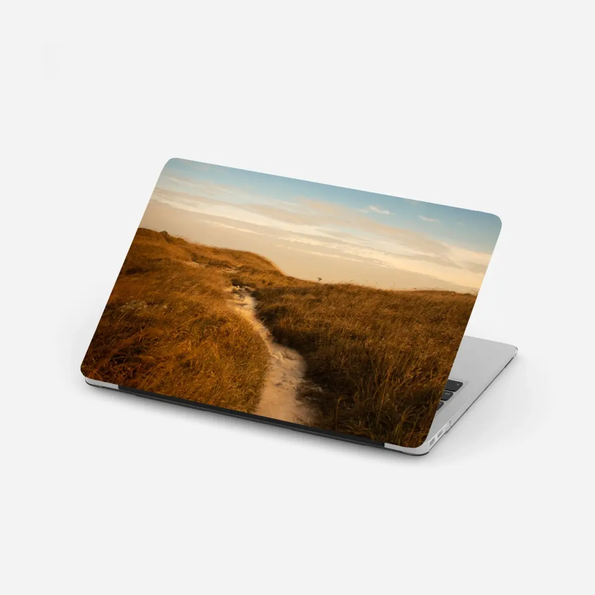 Laptop-Aufkleber sonnenbeschienener weg durch die dünen – Pixers®