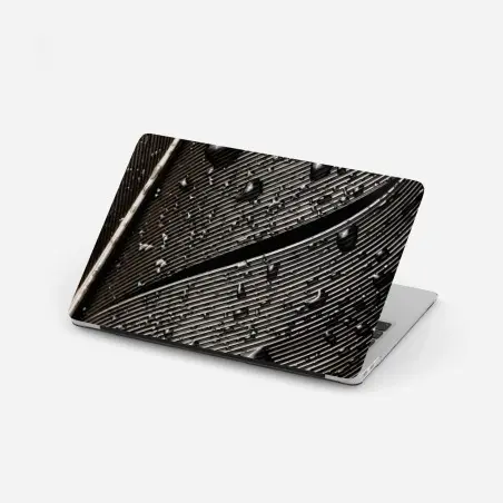 Laptop-Aufkleber monochrome feder mit wassertropfen – Pixers®