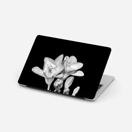 Laptop-Aufkleber zarte freesie in monochrom – Pixers®