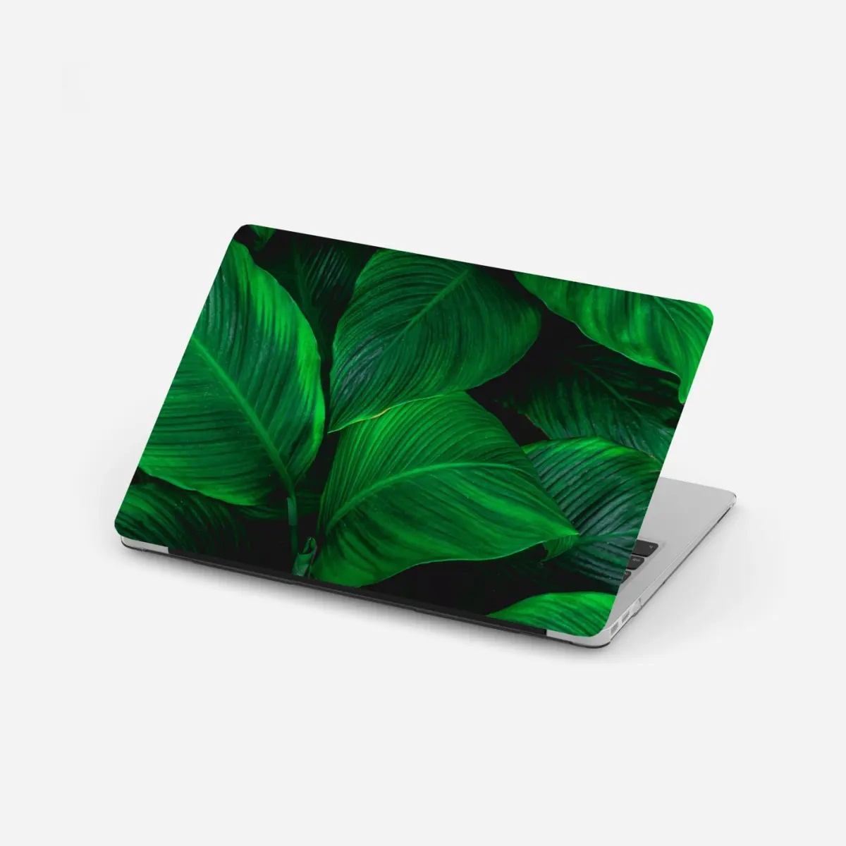 Laptop-Aufkleber üppige tropische blätter – Pixers®