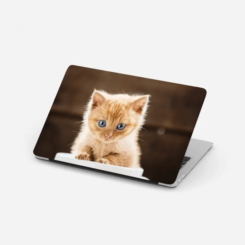 Laptop-Aufkleber rötliches kätzchen in einer teetasse