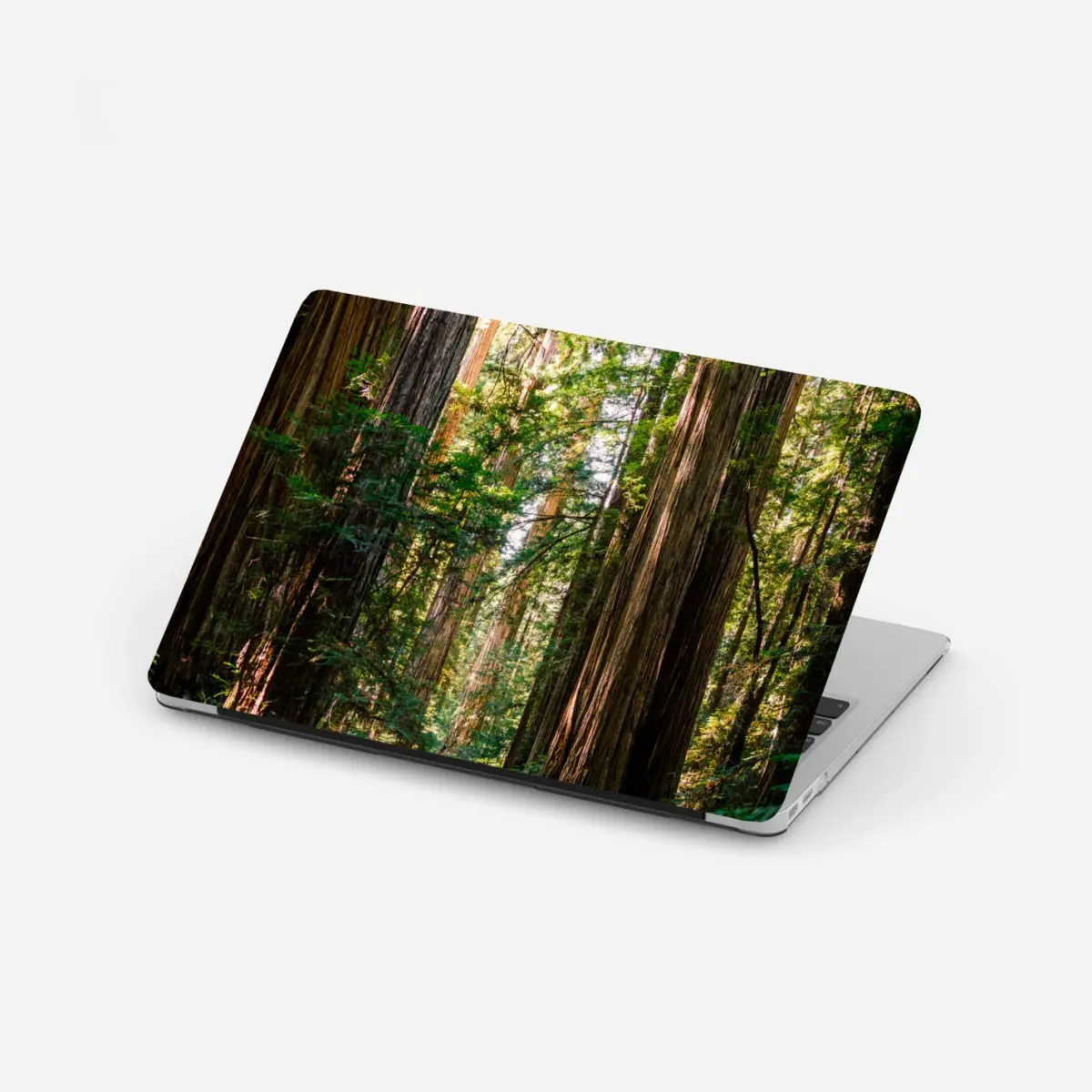 Laptop-Aufkleber majestätischer weg im sekwoienwald – Pixers®