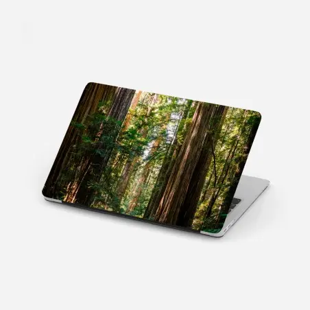Laptop-Aufkleber majestätischer weg im sekwoienwald – Pixers®