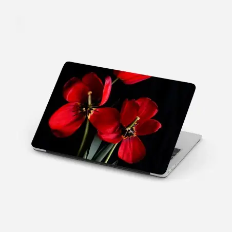 Laptop-Aufkleber drei rote tulpen vor schwarzem hintergrund – Pixers®