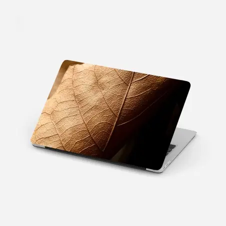 Laptop-Aufkleber strukturiertes trockenes blatt nahaufnahme – Pixers®