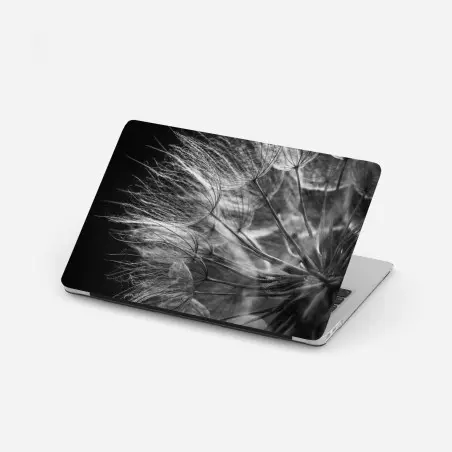 Laptop-Aufkleber zarter löwenzahn in monochrom – Pixers®