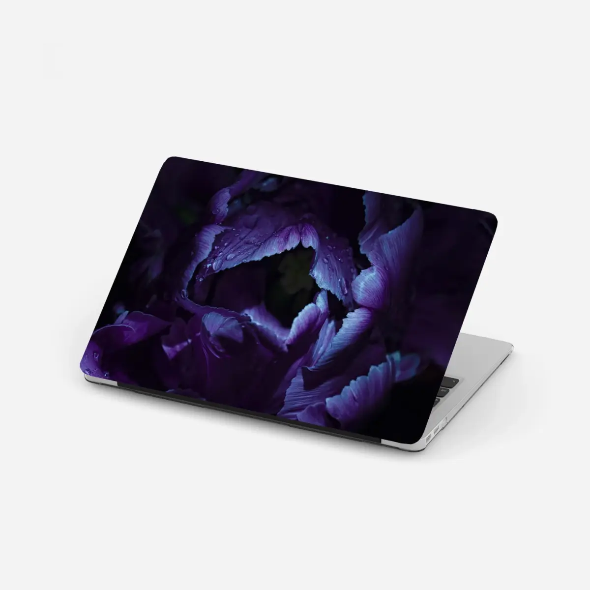 Laptop-Aufkleber lila tulpe im ultravioletten licht – Pixers®