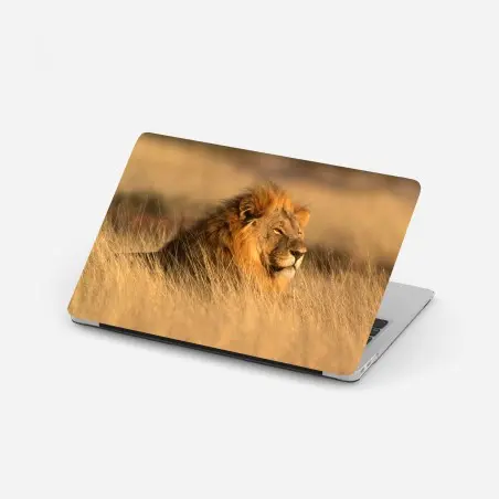 Laptop-Aufkleber majestätischer löwe im hohen gras – Pixers®