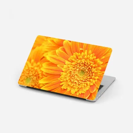 Laptop-Aufkleber leuchtende orange gerbera in makro – Pixers®