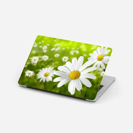Laptop-Aufkleber weiße gänseblümchen auf der wiese – Pixers®