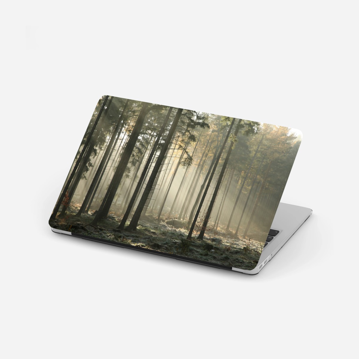 Laptop-Aufkleber nebliger morgenwald mit sonnenstrahlen – Pixers®