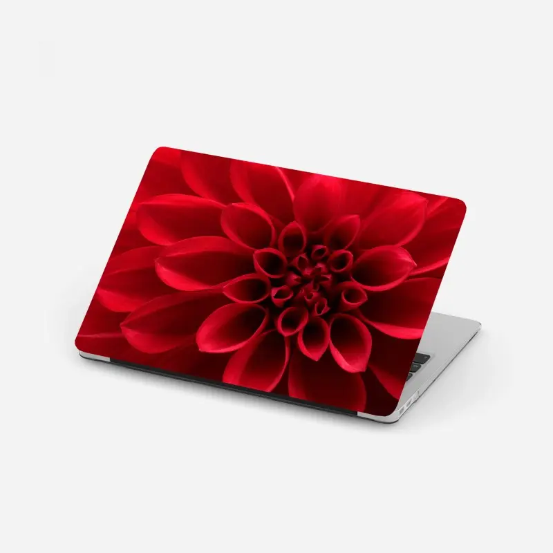 Laptop-Aufkleber nahaufnahme einer roten dahlie