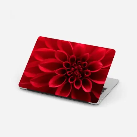 Laptop-Aufkleber nahaufnahme einer roten dahlie – Pixers®