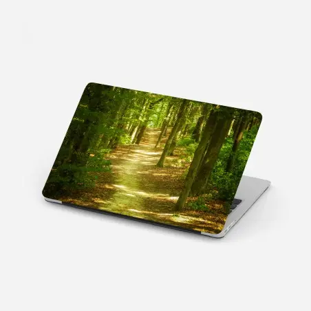 Laptop-Aufkleber sonniger waldpfad – Pixers®