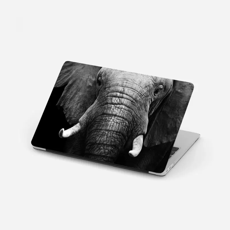 Laptop-Aufkleber majestätisches elefantenporträt