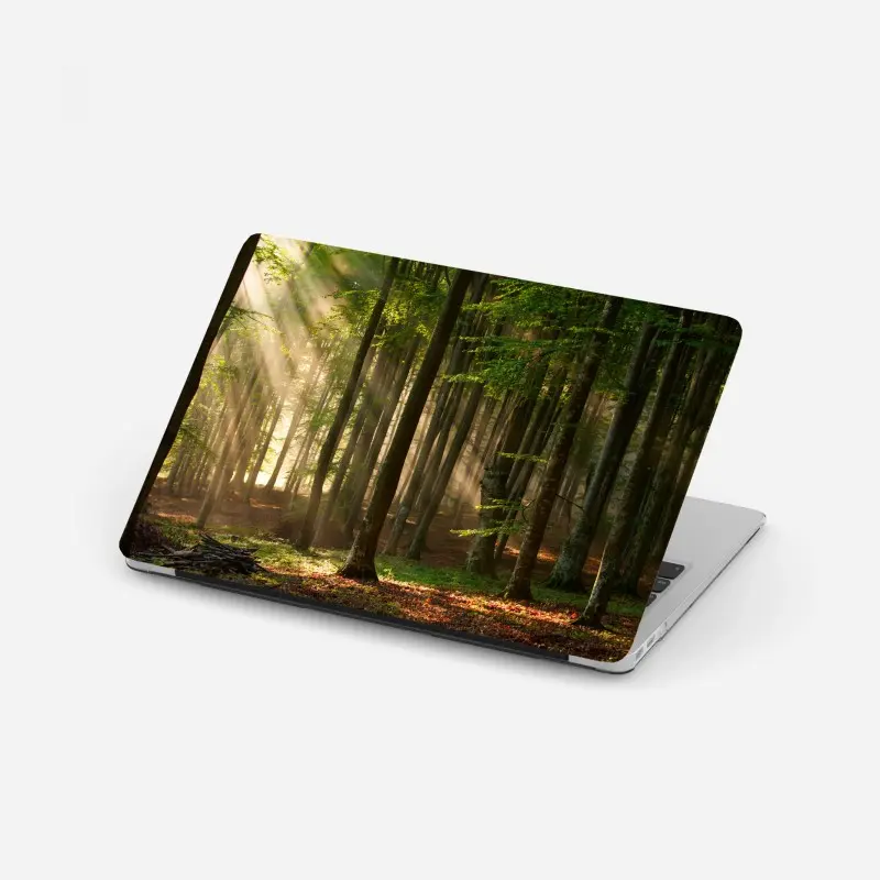 Laptop-Aufkleber morgendliches licht im buchenwald