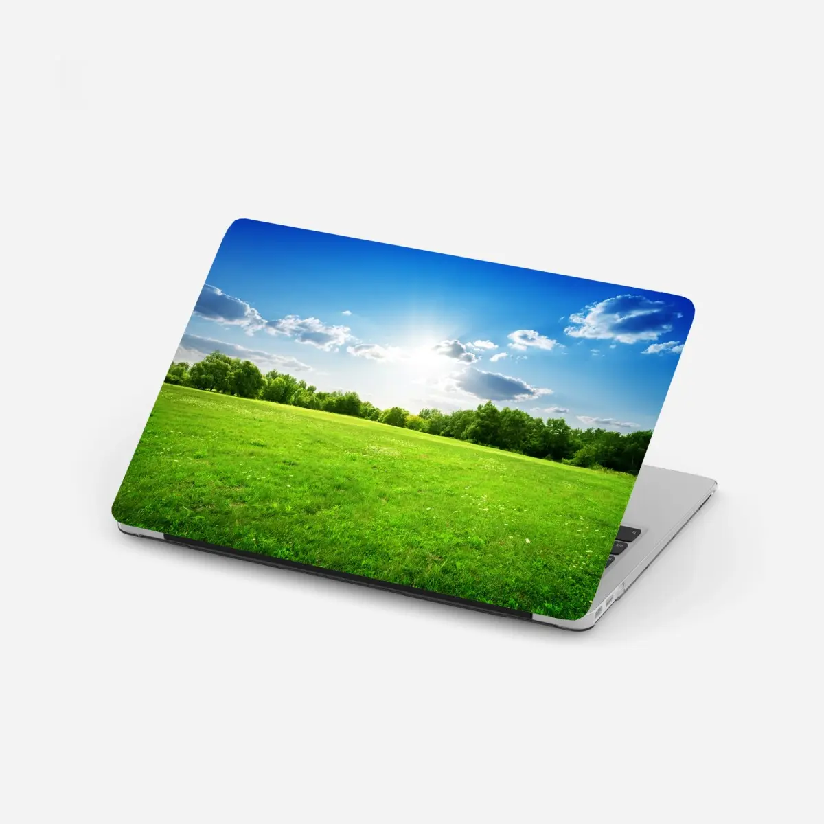 Laptop-Aufkleber sonnige grüne wiese – Pixers®