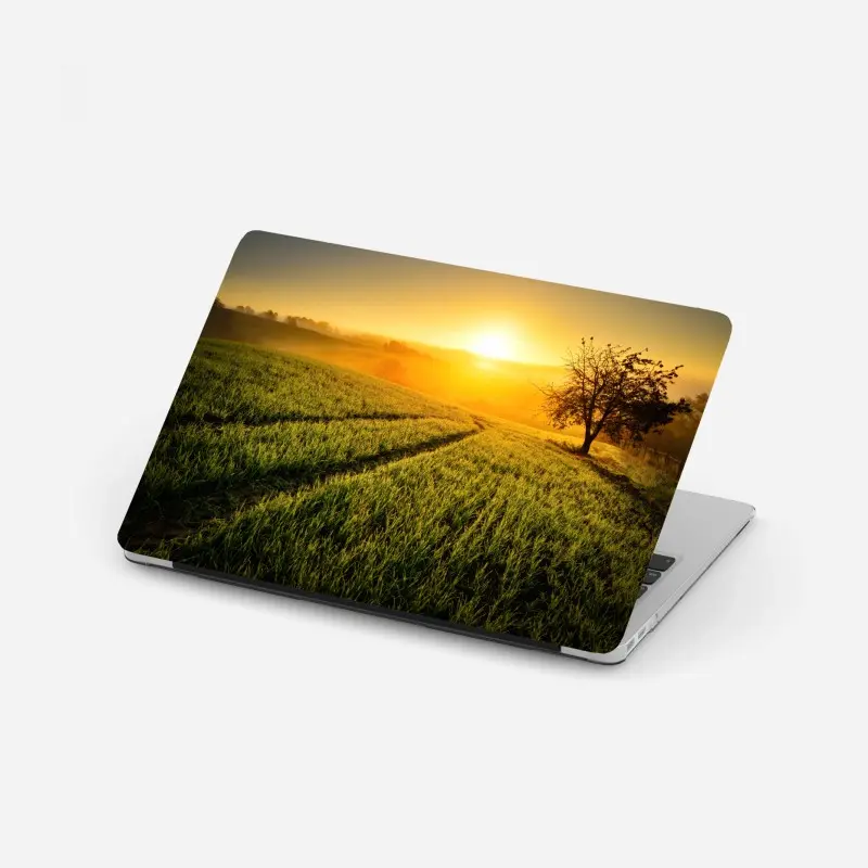 Laptop-Aufkleber sonnenbeschienene wiese im frühlicht