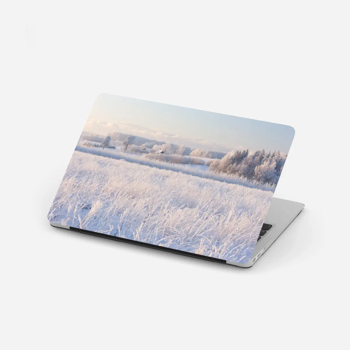 Laptop-Aufkleber wiese mit reif im morgenlicht – Pixers®