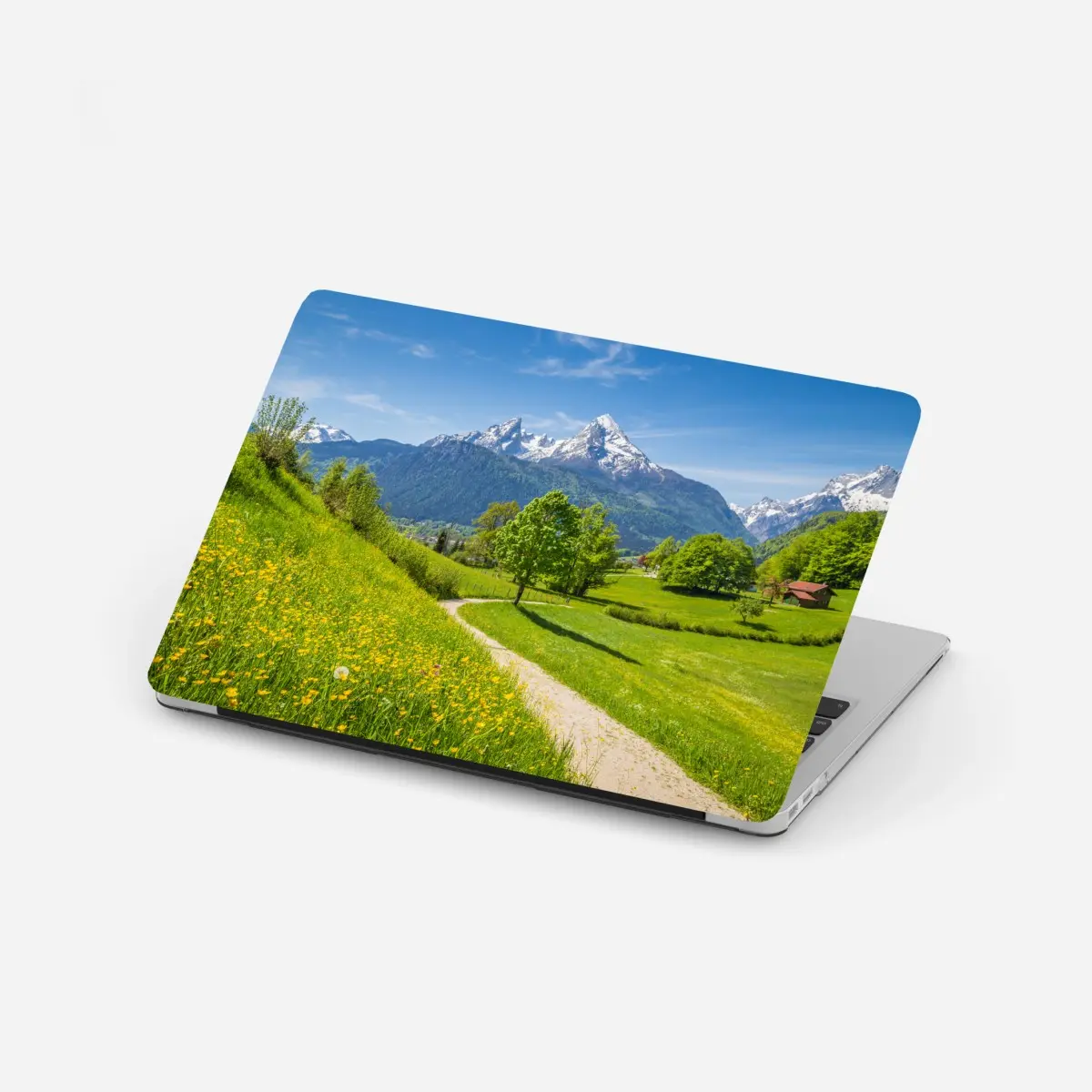 Laptop-Aufkleber alpine frühlingswiese mit schneebedeckten gipfeln – Pixers®