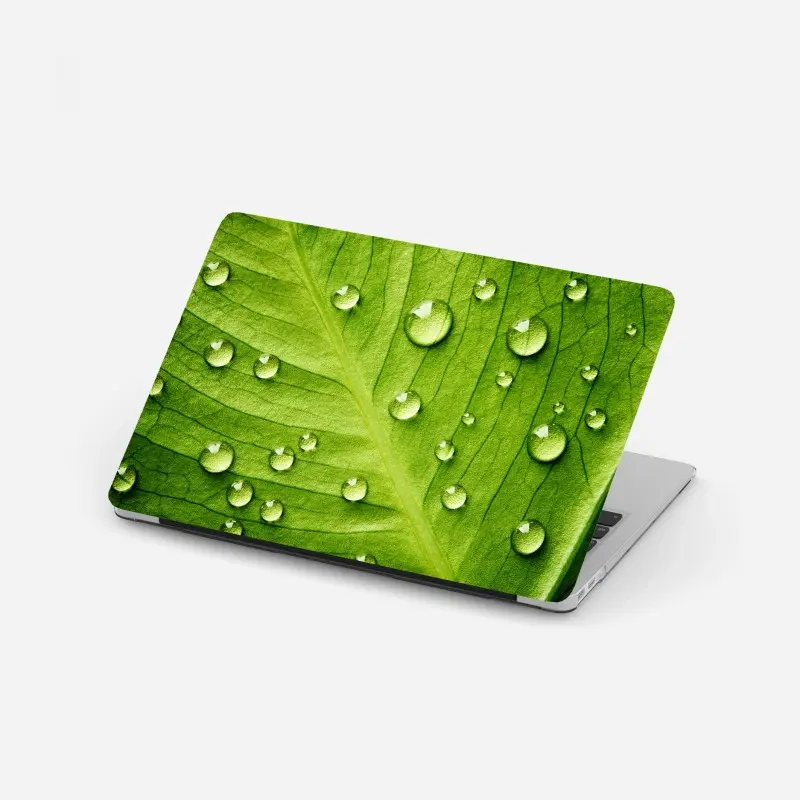 Laptop-Aufkleber frisches grünes blatt mit wassertropfen