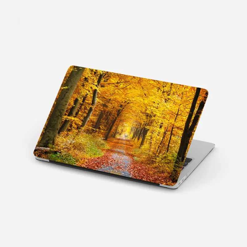 Laptop-Aufkleber goldener herbstwald pfad