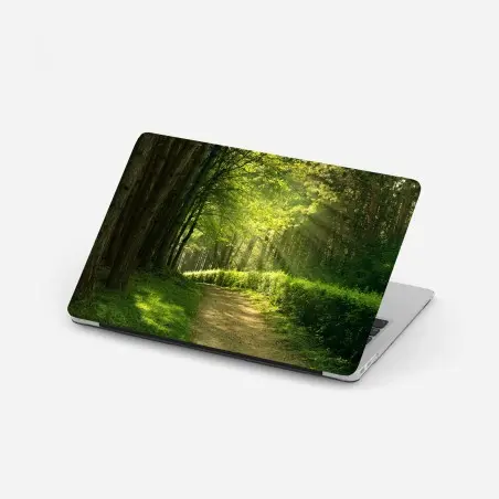 Laptop-Aufkleber sonnenbeschienener waldpfad im grünen – Pixers®