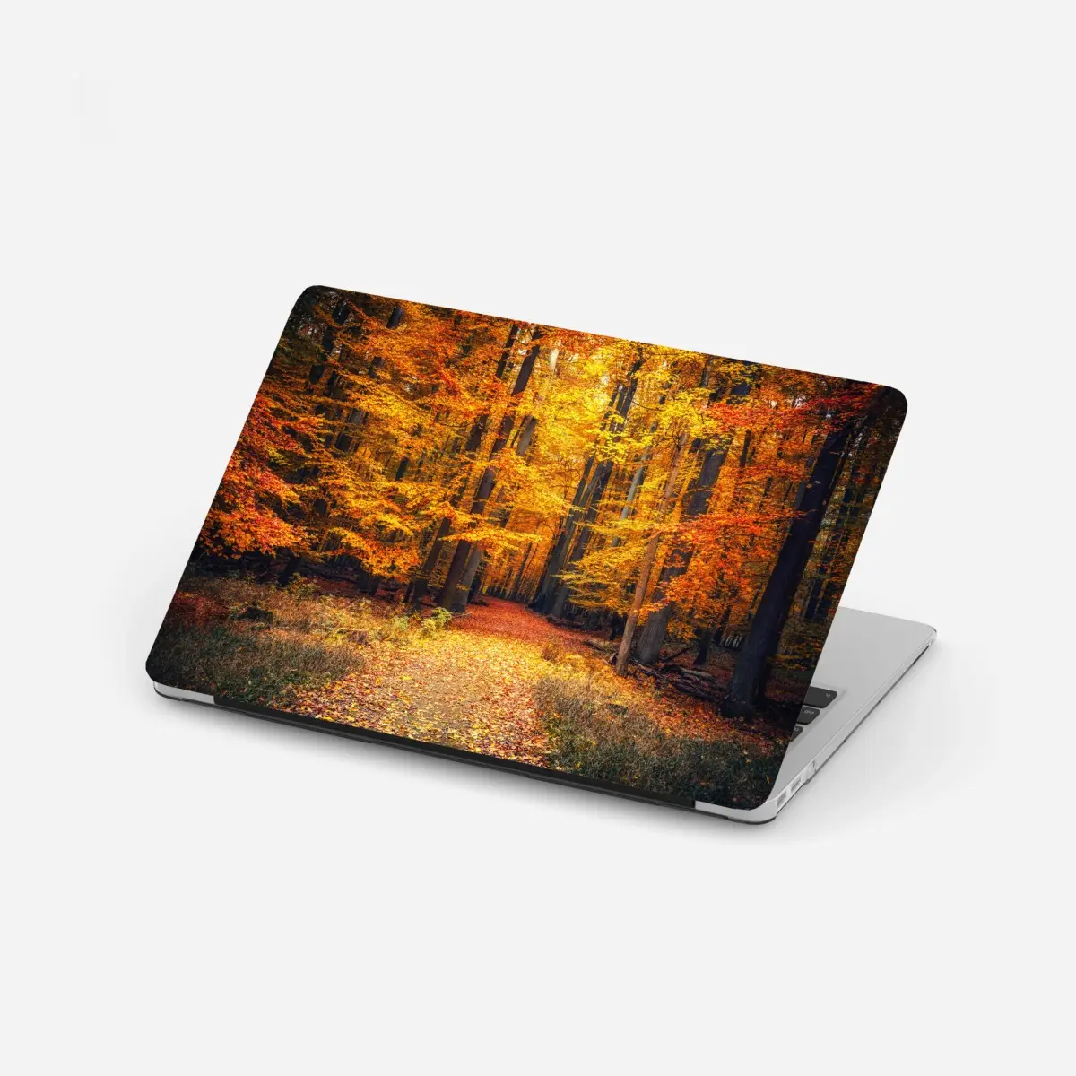 Laptop-Aufkleber herbstlicher waldpfad mit goldenen blättern – Pixers®